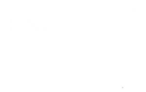 BOM E-Team Logo Beyaz